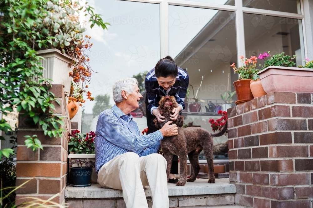 Older couple pat brown Italian water dog on the back steps of their home, surrounded by garden. - Australian Stock Image
