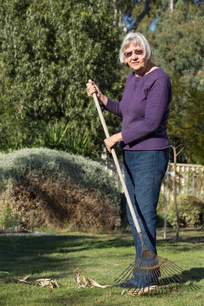 Older woman in garden with rake on lawn - Australian Stock Image
