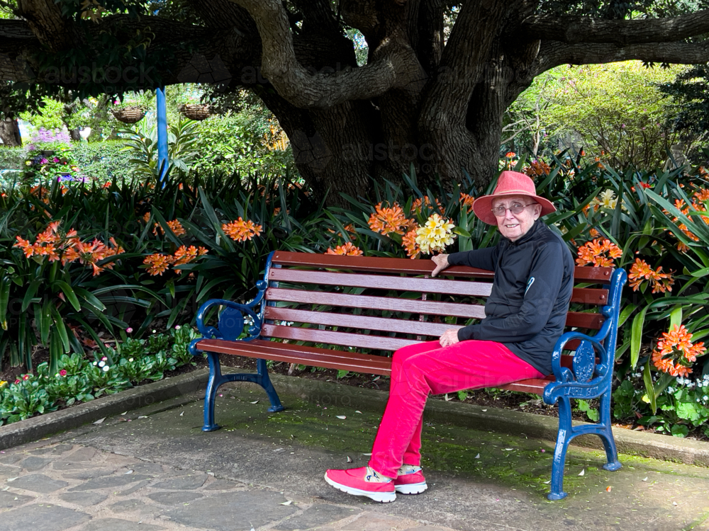 Older woman with red hat and glasses sitting on a bench seat under a tree in a garden - Australian Stock Image