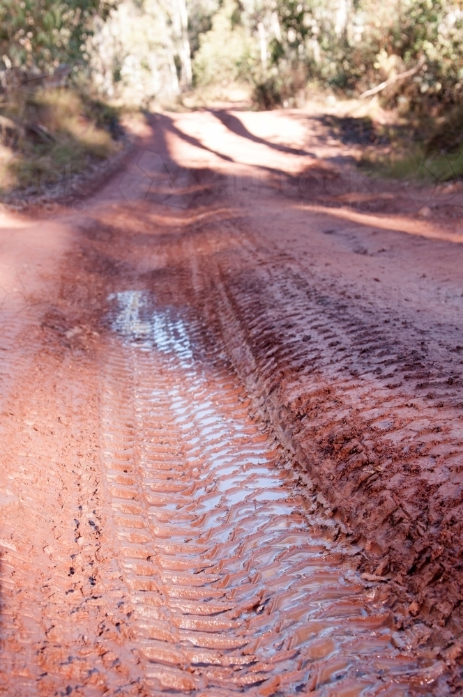 Tyre tracks on a muddy road - Australian Stock Image