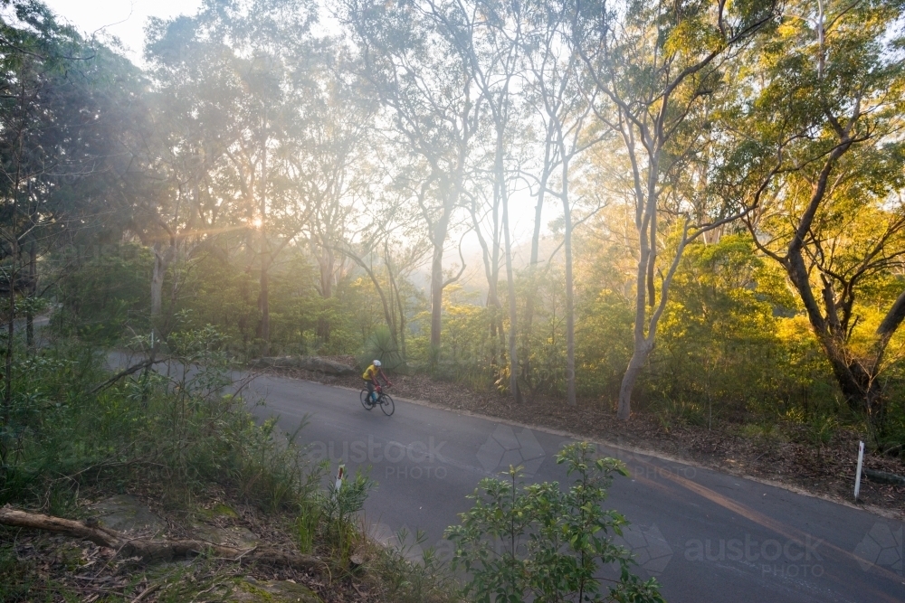 One cyclist riding on road in national park during sunrise - Australian Stock Image