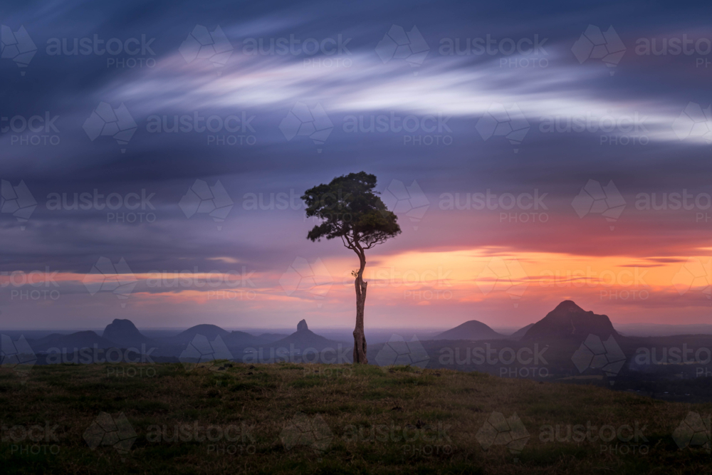 One Tree Hill - Australian Stock Image