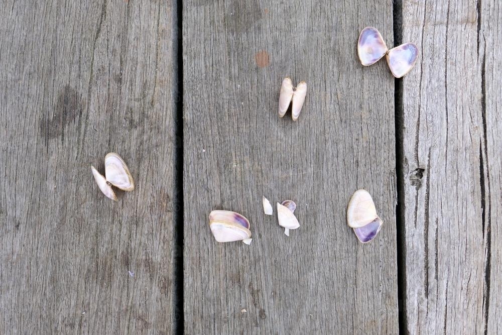 Image of Open Pippi Shells on a Pier - Austockphoto