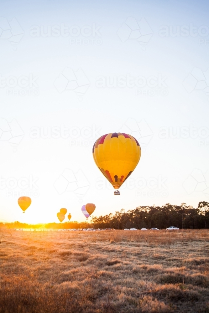 Orange dawn and hot air balloons taking off over paddock - Australian Stock Image