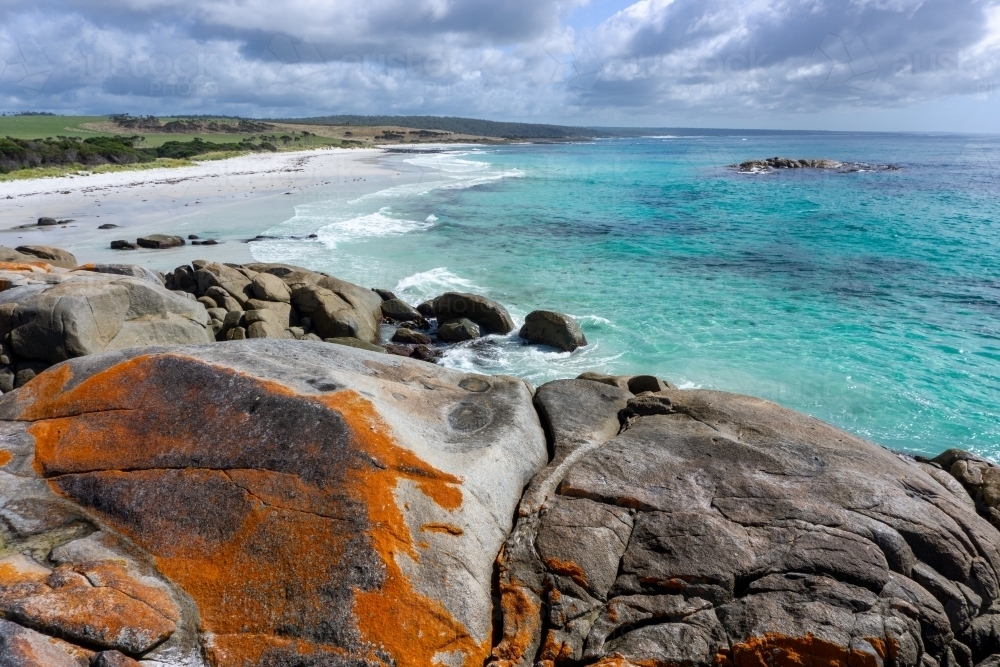 Orange lichen on rocks at Bay of Fires - Australian Stock Image