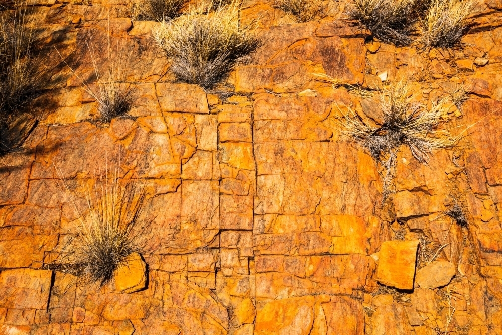 Orange/rust coloured rock with grasses growing between the cracks in the rock. - Australian Stock Image