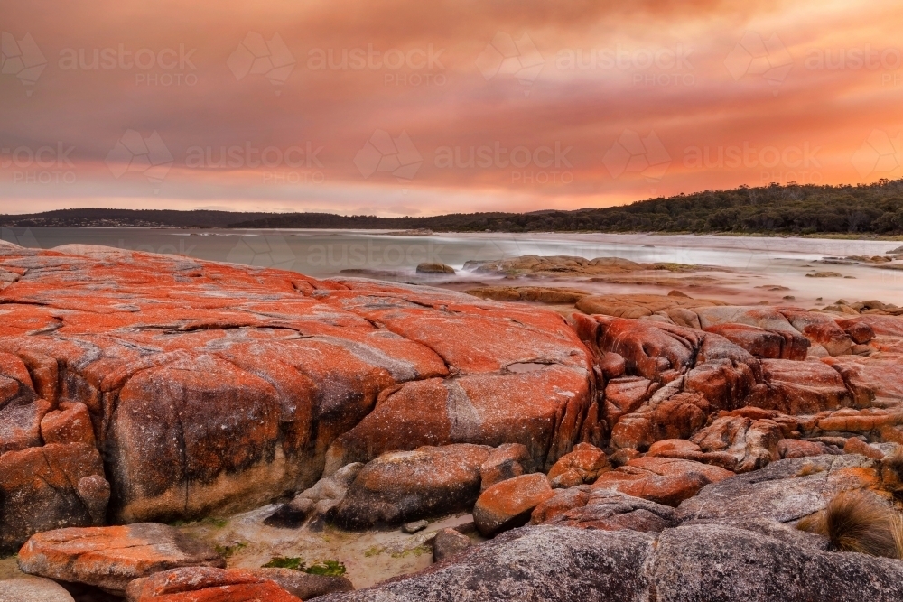 Orange sunset at the Bay of Fires - the fiery red granite rocks are coloured by lichens - Australian Stock Image