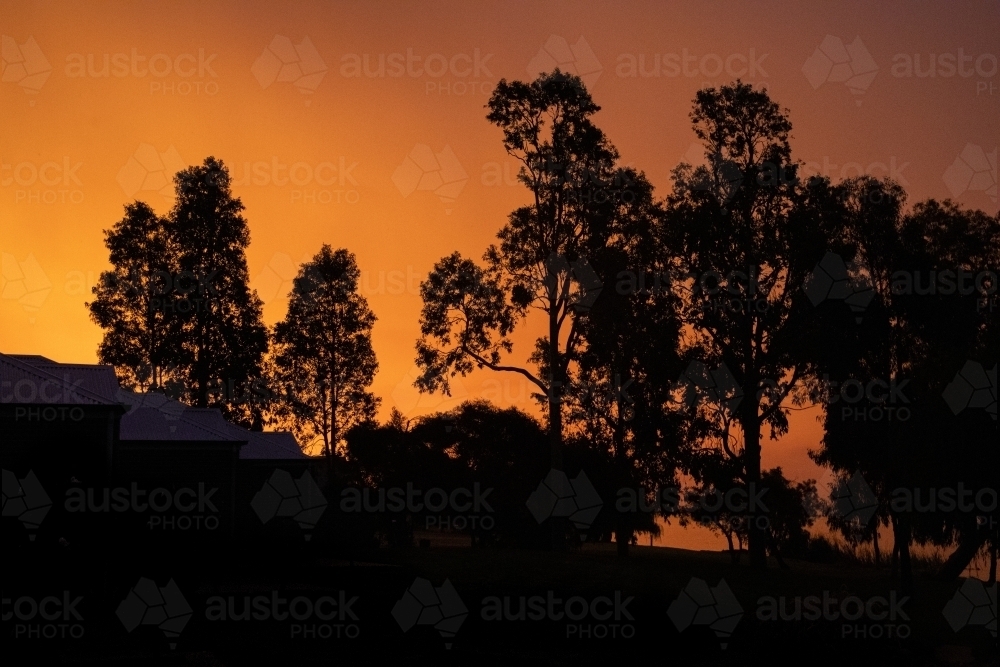 Orange sunset behind house and trees - Australian Stock Image