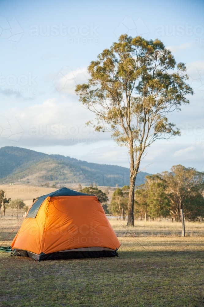 Orange tent set up in a farm paddock - Australian Stock Image