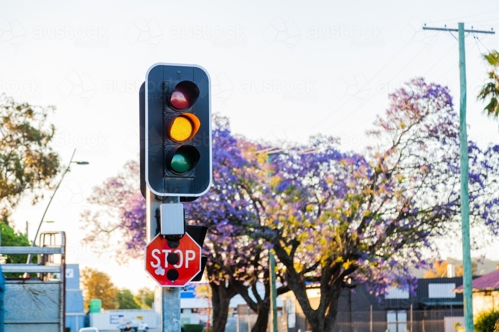 Orange traffic light and stop sign at intersection - Australian Stock Image