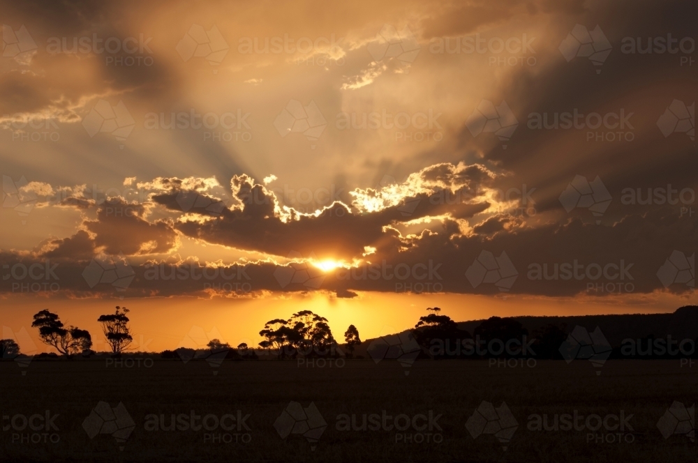 Orange Wimmera Sunset over paddock - Australian Stock Image