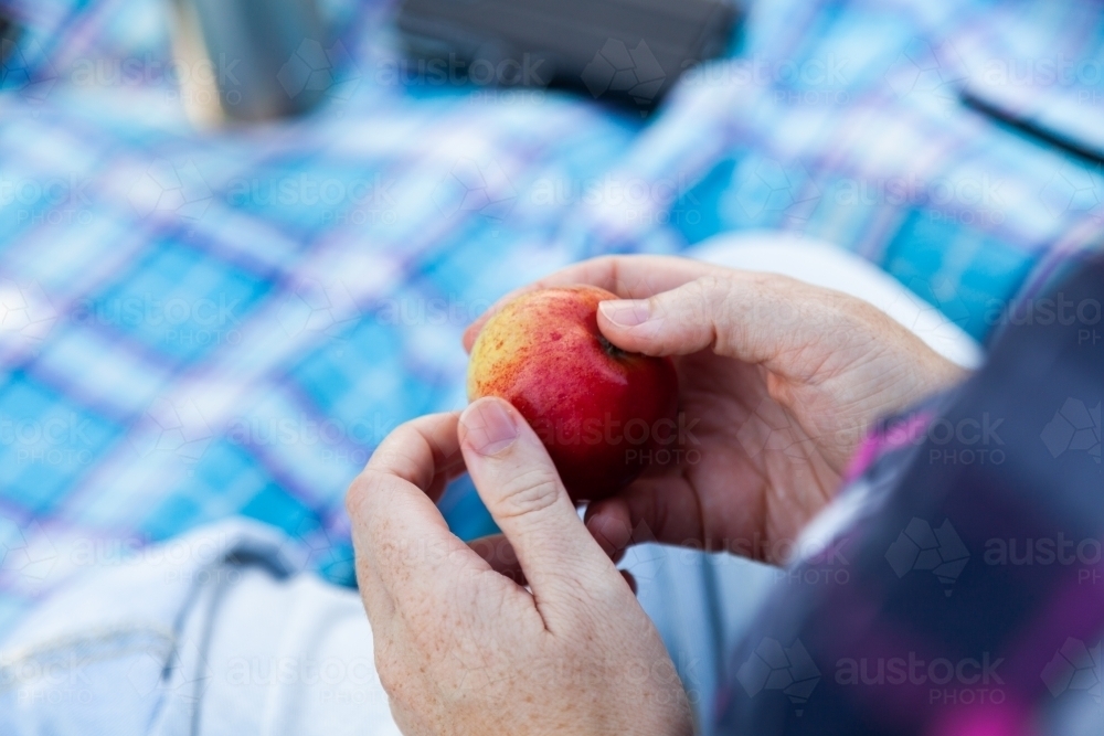 Organic apple held by person enjoying a picnic - Australian Stock Image