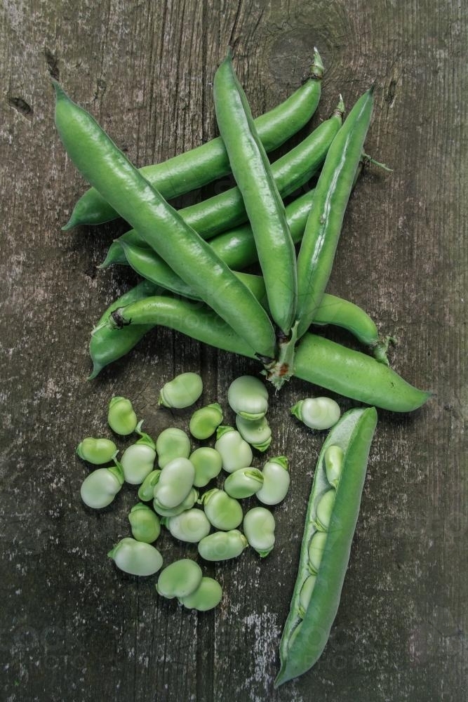 Image of Organic Broad Beans Austockphoto