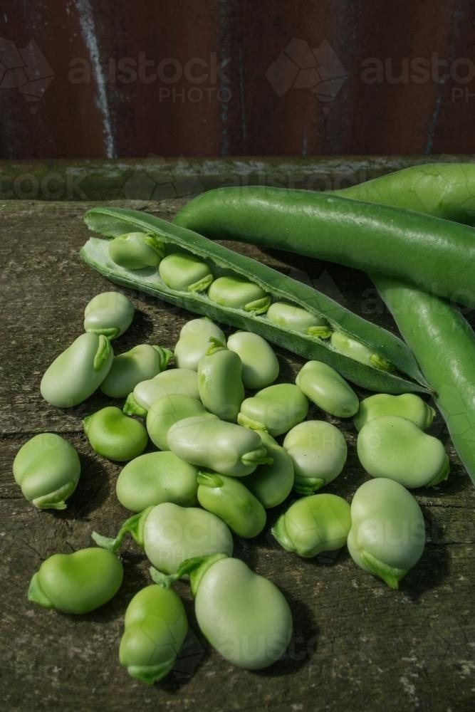 Image of Organic Broad Beans Austockphoto
