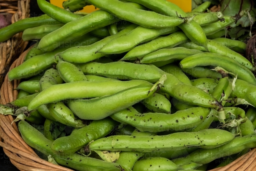 Organic broadbeans in a basket at a farmer's market - Australian Stock Image