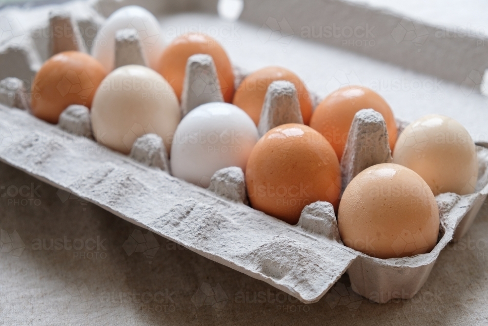 Organic free range eggs in carton - Australian Stock Image