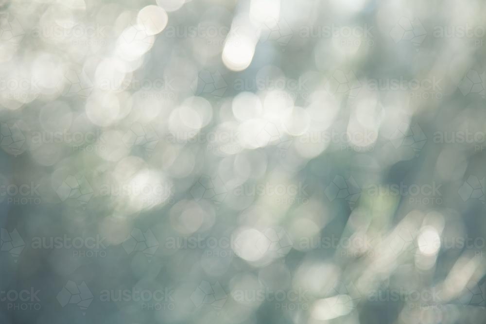 Out of focus bokeh background texture of green leaves and sunlight - Australian Stock Image