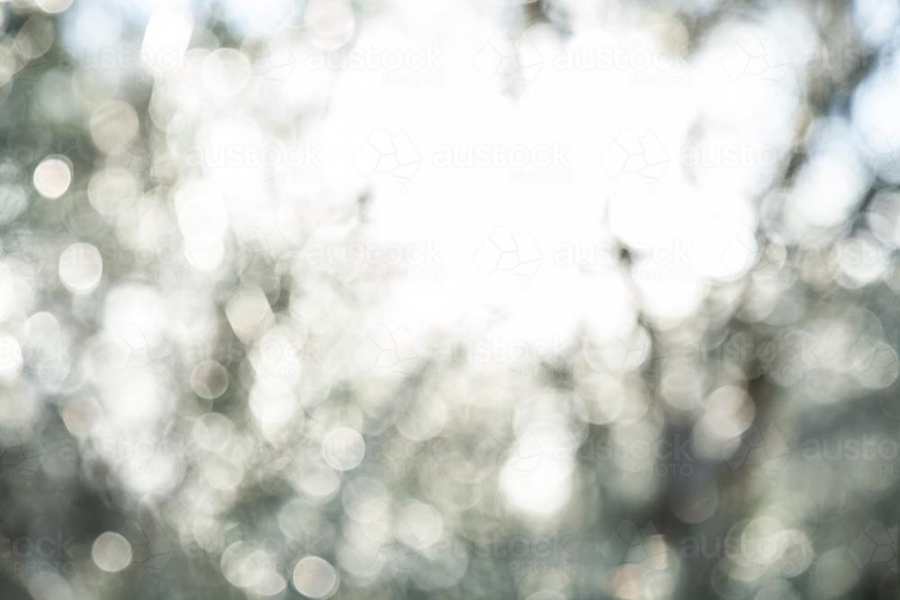 Out of focus bokeh background texture of green leaves and sunlight - Australian Stock Image