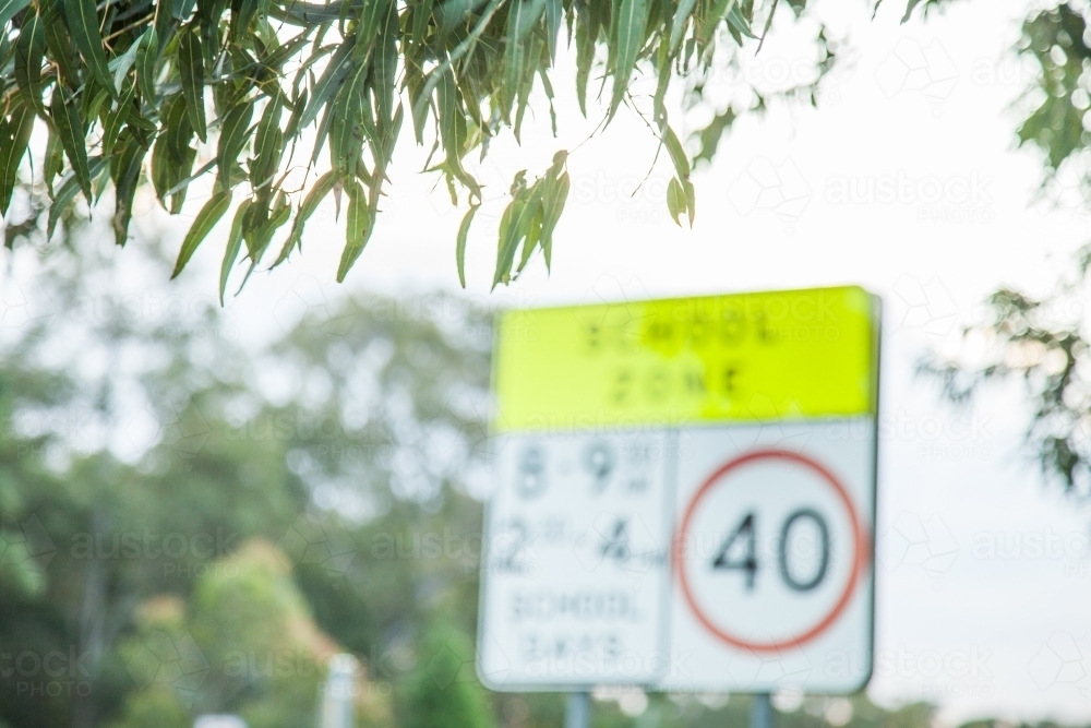 Out of focus school zone sign with gum leaves - Australian Stock Image