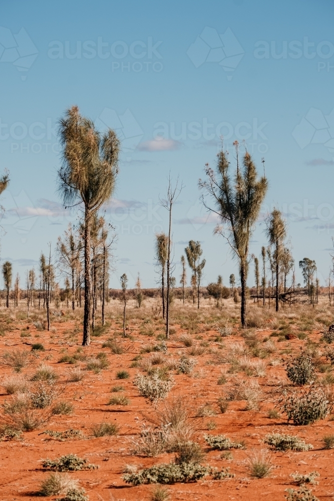 Outback australia - Australian Stock Image