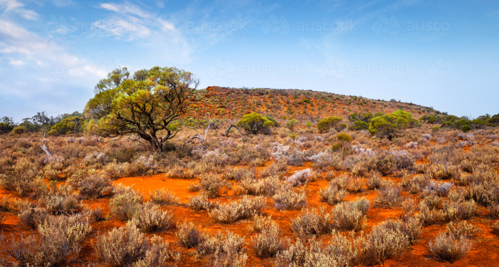 outback Australian desert scene - Australian Stock Image
