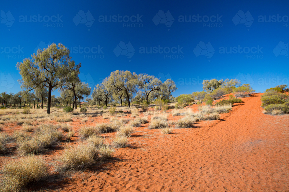 Outback landscape and red sand near Kings Canyon in the Northern Territory, Australia - Australian Stock Image