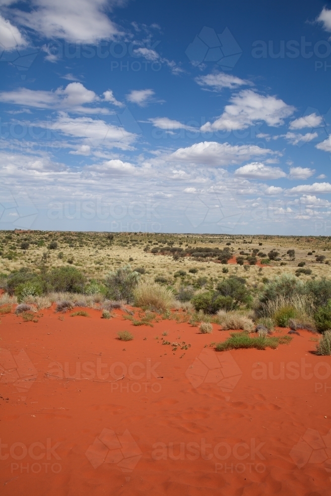 Outback landscape with red dirt and dry grass - Australian Stock Image