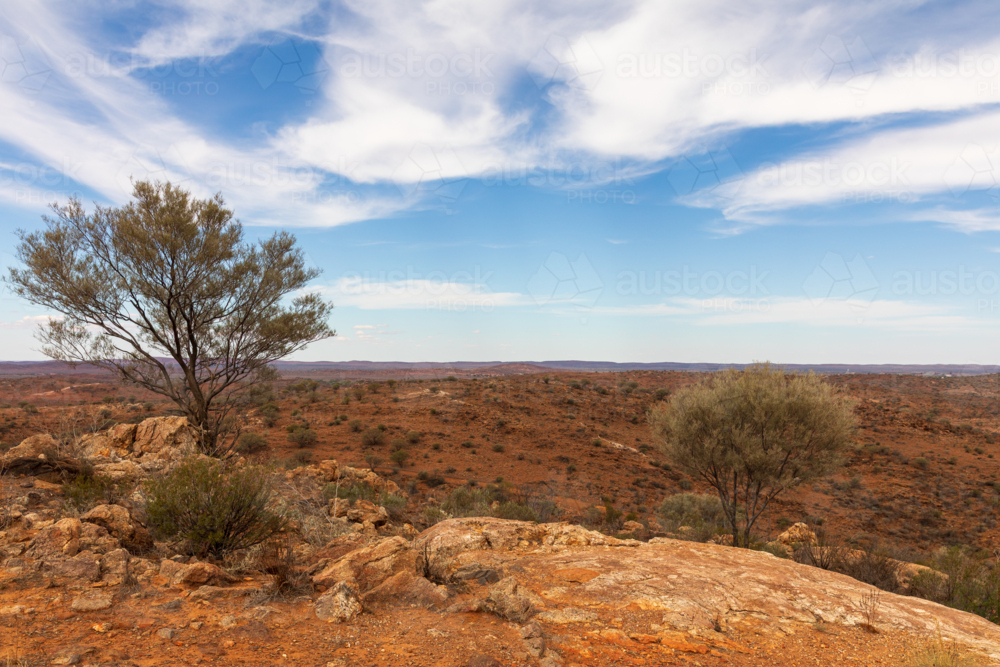 Outback landscape with red earth, native trees and blue sky - Australian Stock Image
