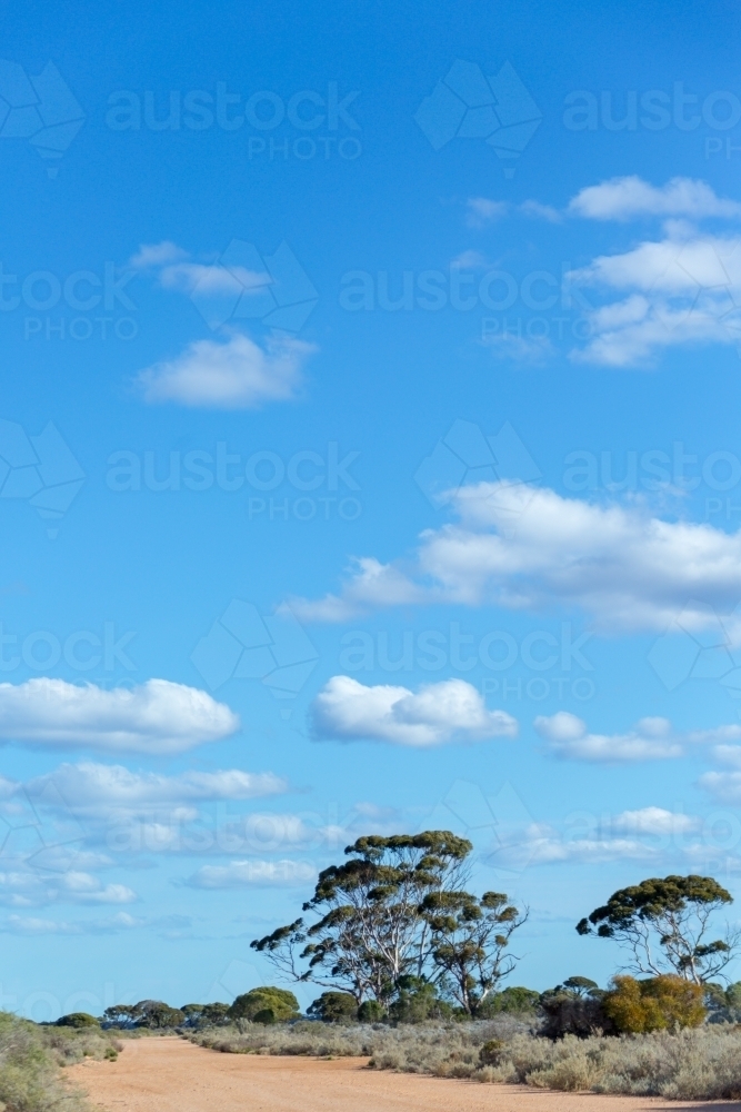Image of Outback landscape with trees and lots of blue sky - Austockphoto
