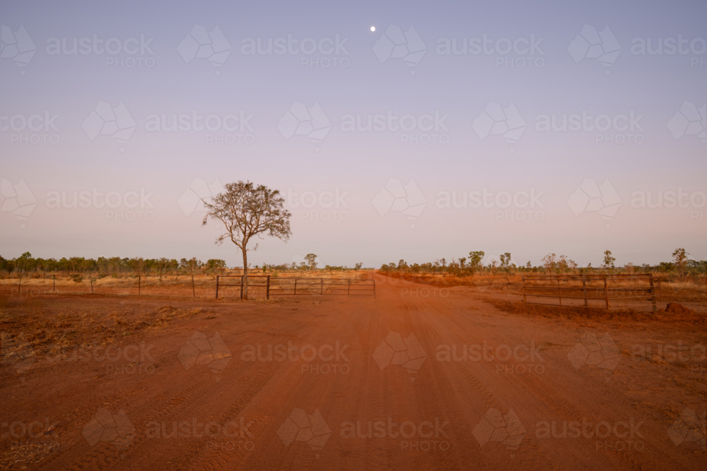 Outback Red Dirt Track at dawn with moonrise and fence - Australian Stock Image