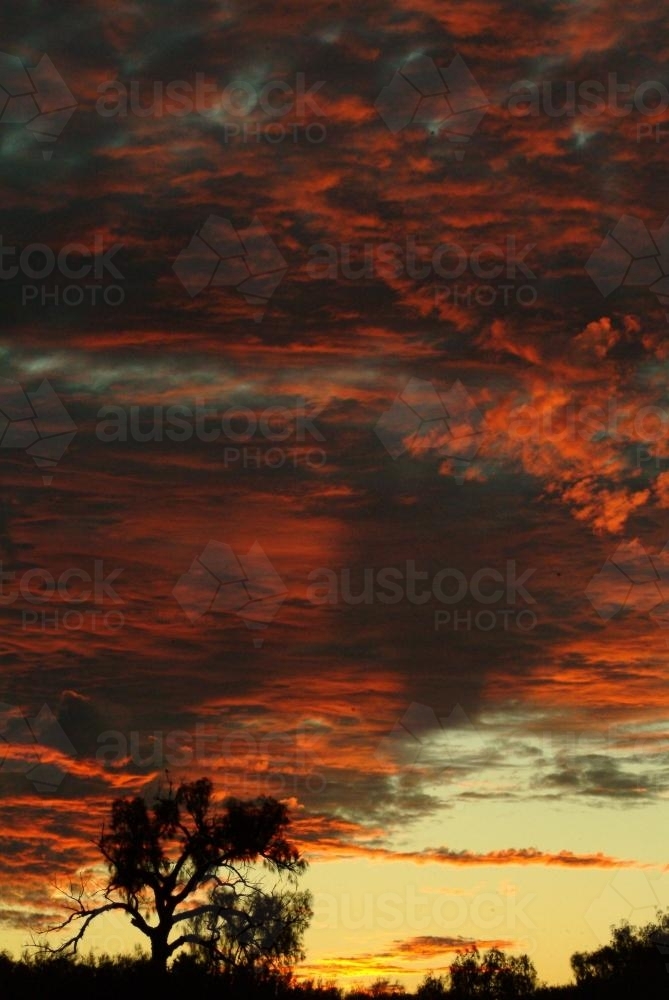 Outback Sunset - Australian Stock Image