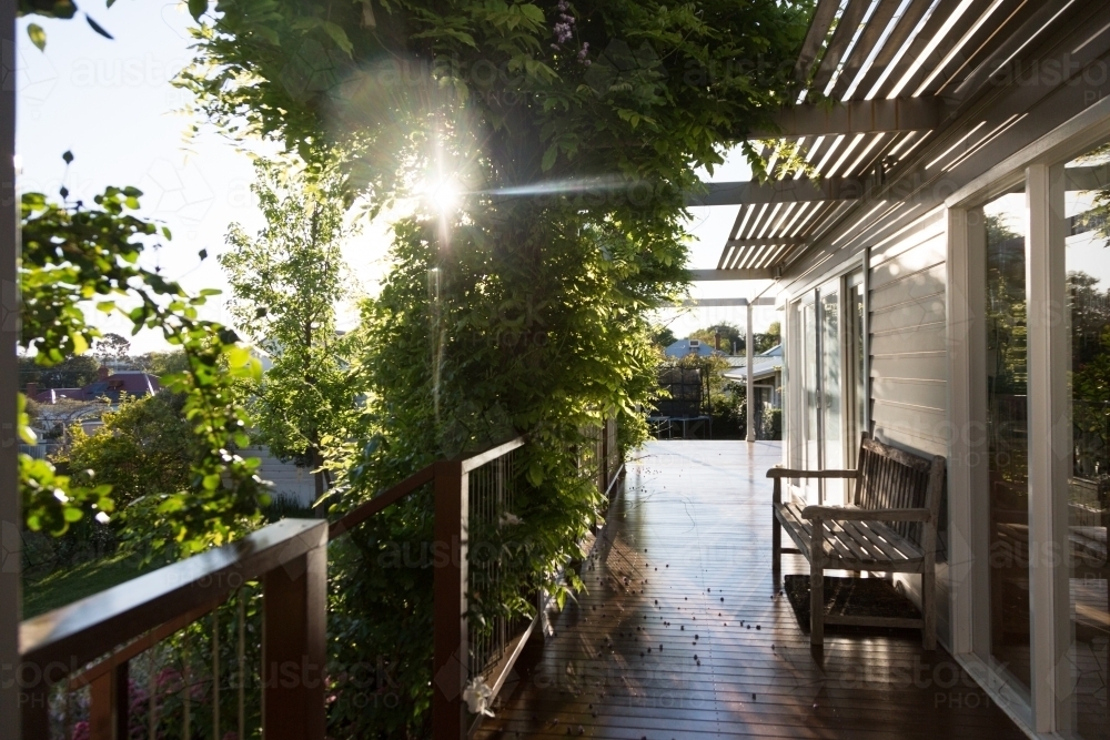 Outdoor image of sun flare and vine on the veranda of an australian house - Australian Stock Image