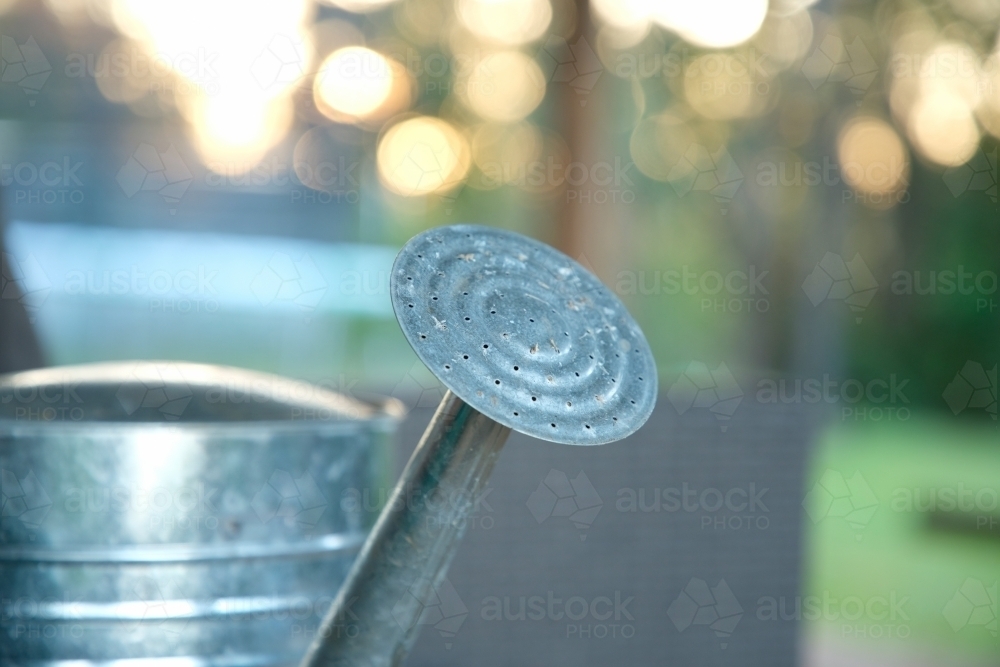 Outdoor watering can - Australian Stock Image