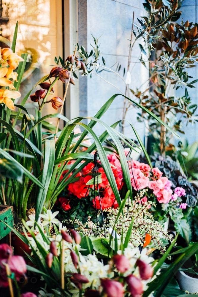 Outside a Florist - Australian Stock Image