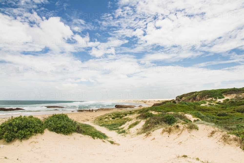 Overgrown dunes - Australian Stock Image