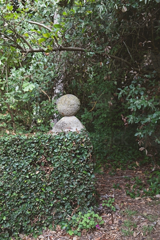 Overgrown old garden with paths filled with foliage and ivy - Australian Stock Image