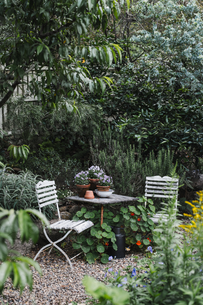 overgrown summer garden with table and chairs : Austockphoto overgrown summer garden with table and chairs - Australian Stock Image