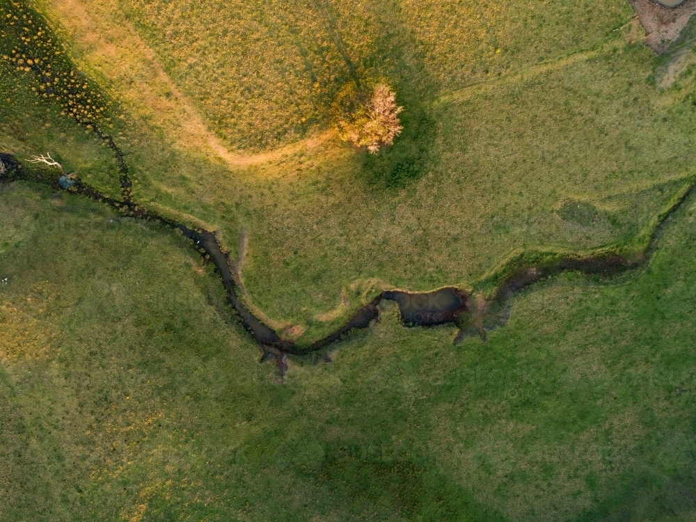 Image of Overhead aerial view of creek winding through green farm ...