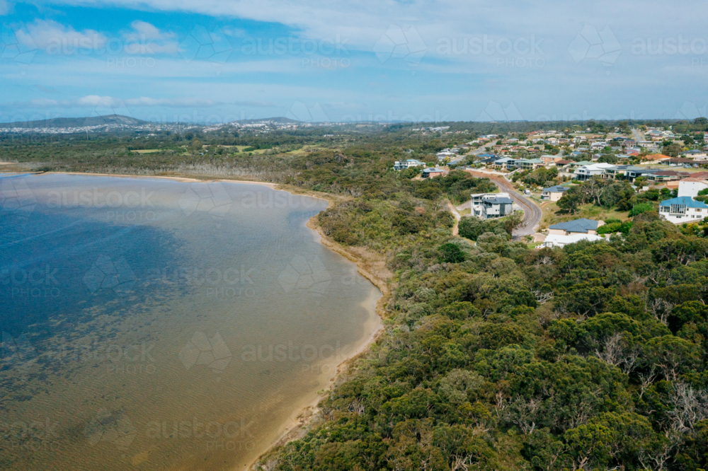 Oyster Harbour Bayonet Head - Australian Stock Image