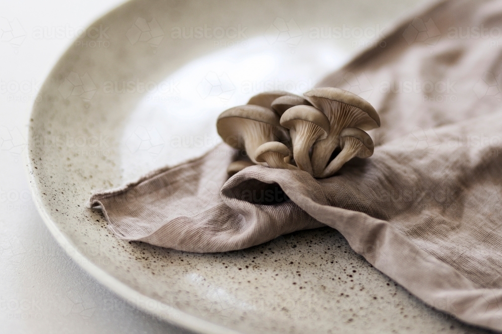 Oyster mushrooms on a ceramic plate - Australian Stock Image