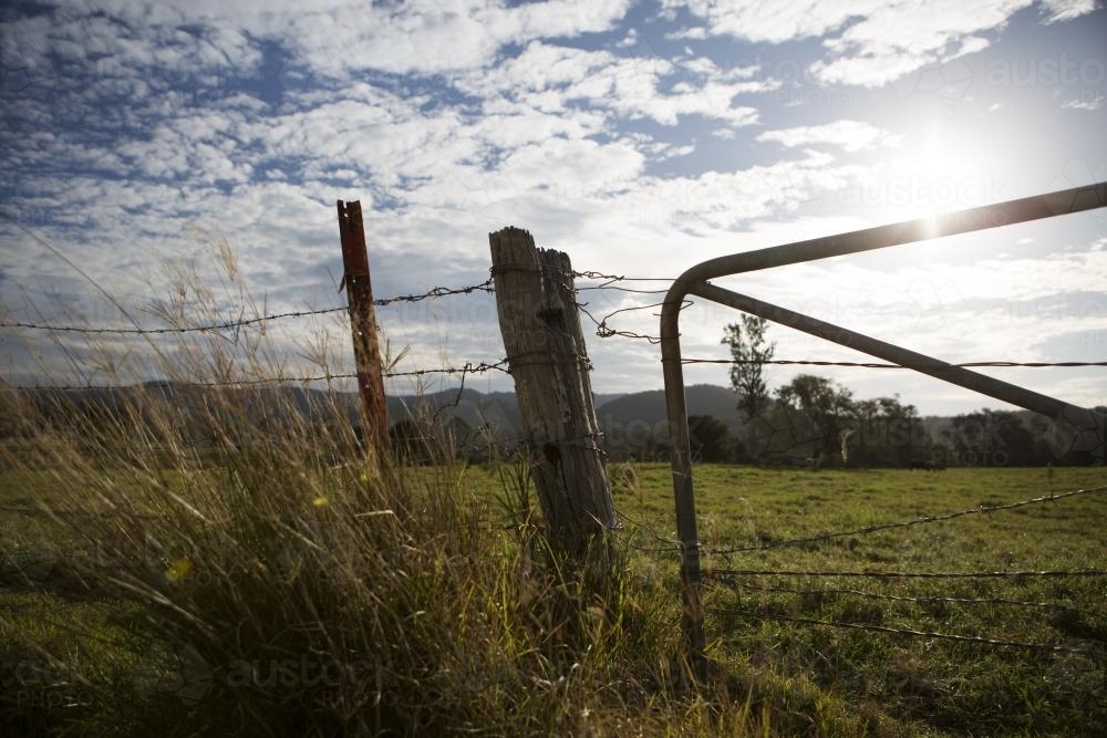 Paddock and fence in the country - Australian Stock Image