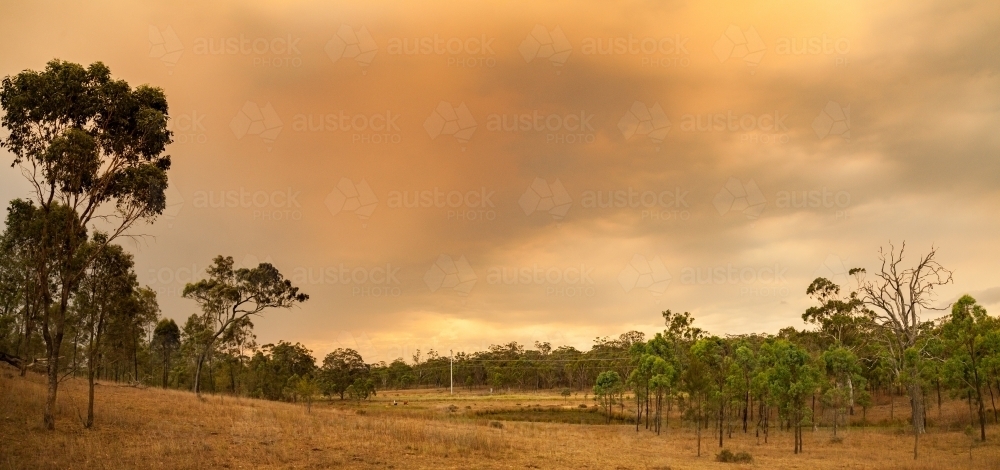Paddock and sky with an orange glow from smoke haze from bushfire - Australian Stock Image
