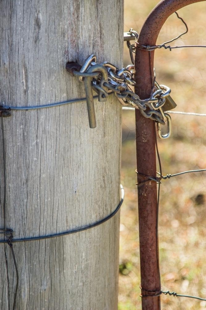 Paddock gate chained closed with a horse proof bolt - Australian Stock Image