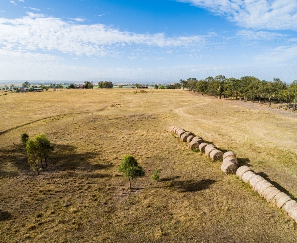 Image of Paddock on farm with line of round bales of hay Austockphoto