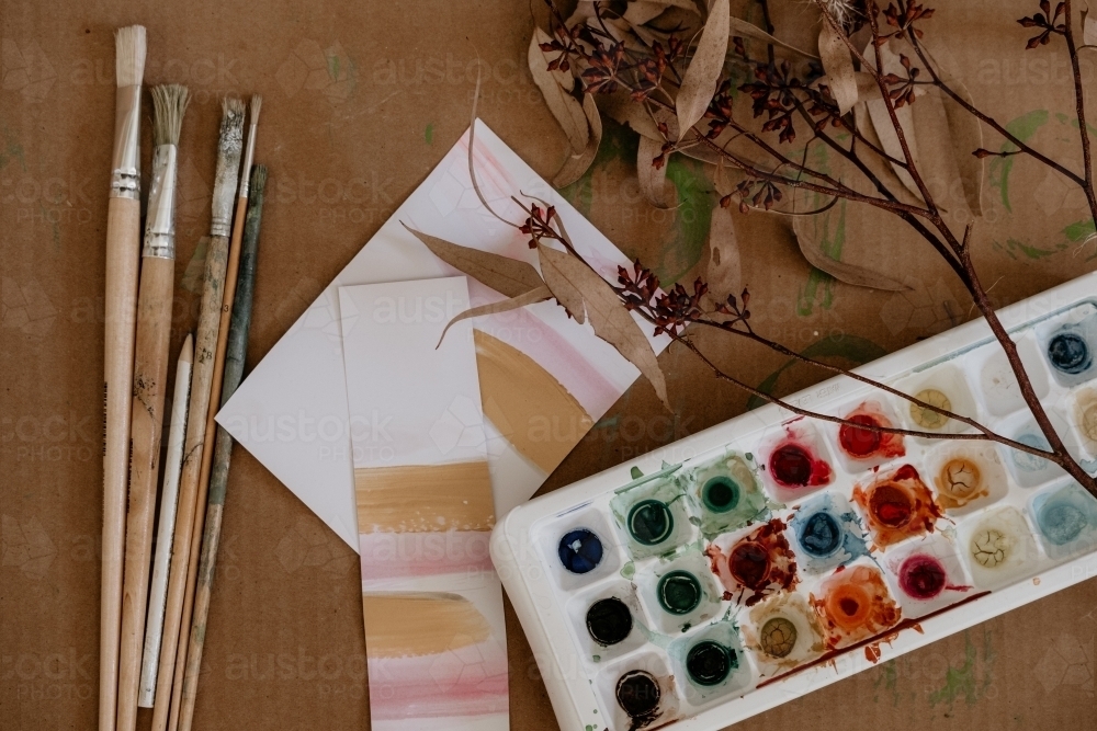 Paint brushes and paints with brush strokes on paper. - Australian Stock Image