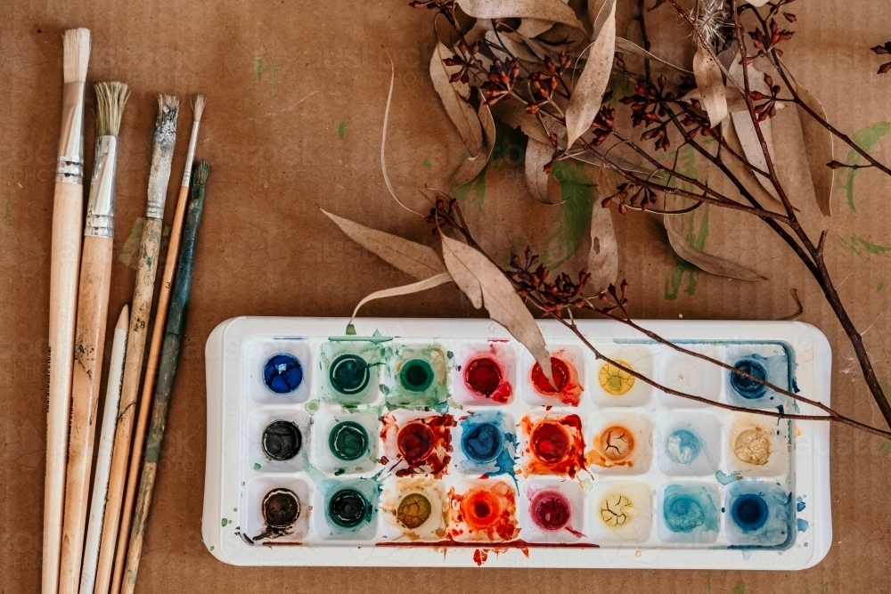 Image of Paint palette with dried gum leaves and paint brushes from