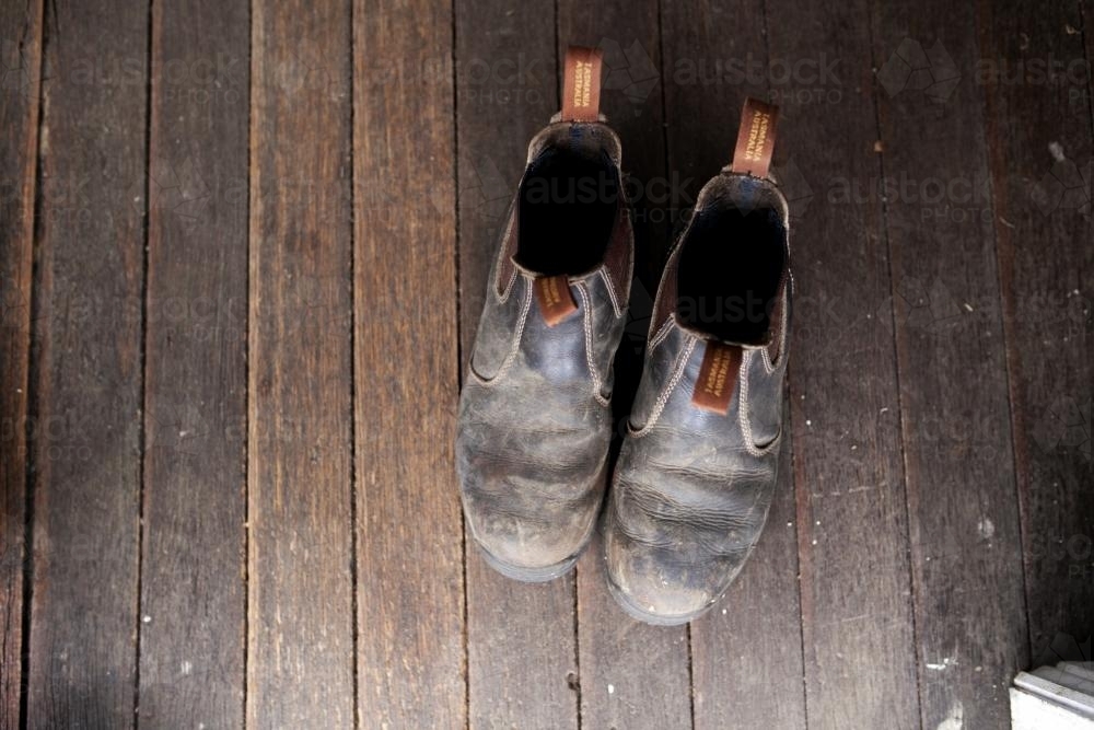 Pair of work boots from above on wooden floor - Australian Stock Image