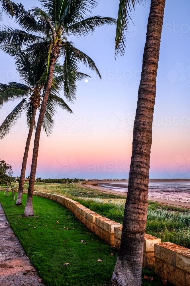 Palm trees beside beach at sunrise - Australian Stock Image