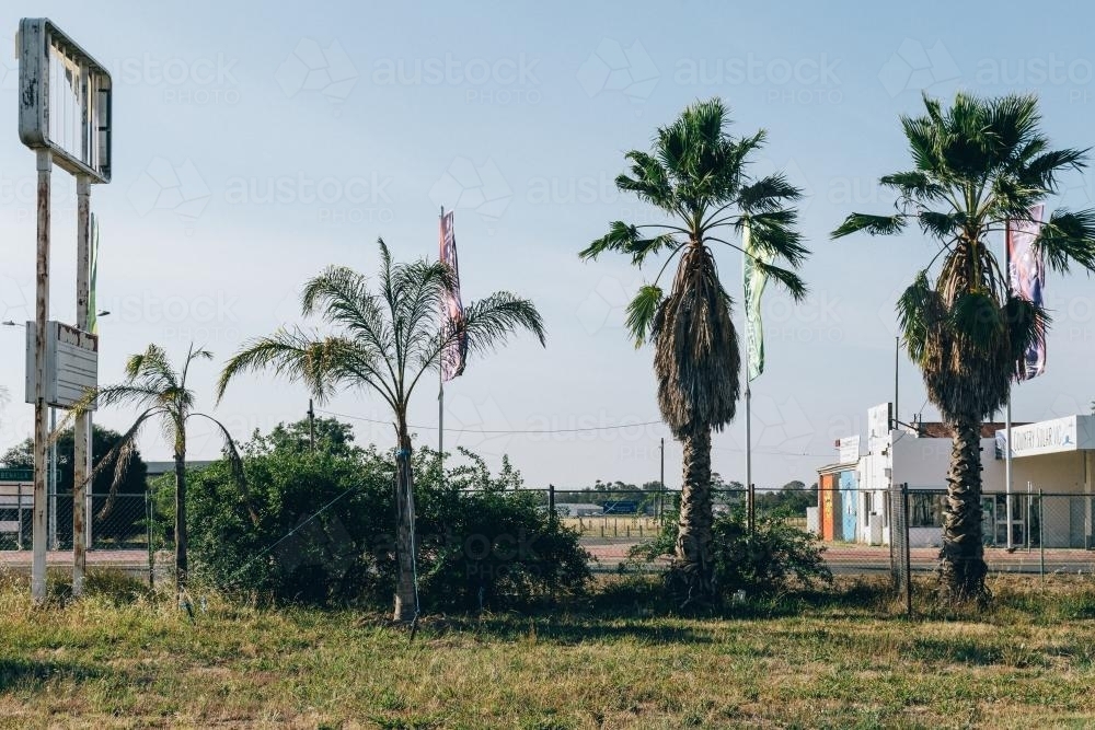 Palm trees growing beside abandoned petrol station - Australian Stock Image