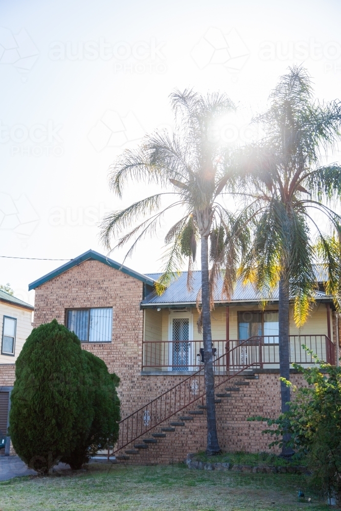 Palm trees outside two story house - Australian Stock Image